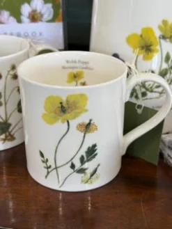 Sophia Davenport Welsh Poppy Mug- Flowers & Garden