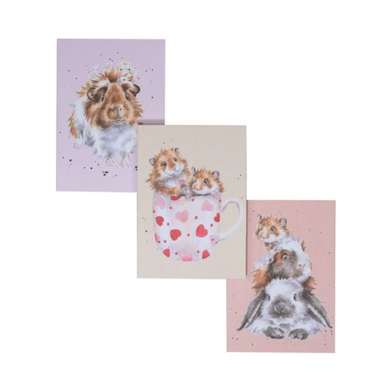 Wrendale Designs Whiskers & Paws - Set of 3 Notebooks- Stationery|Pets