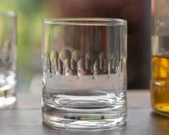 The Vintage List Whisky Glass with Lens Design by- Glassware