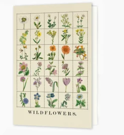 Roomytown Wildflowers Greetings Card- Greeting Cards