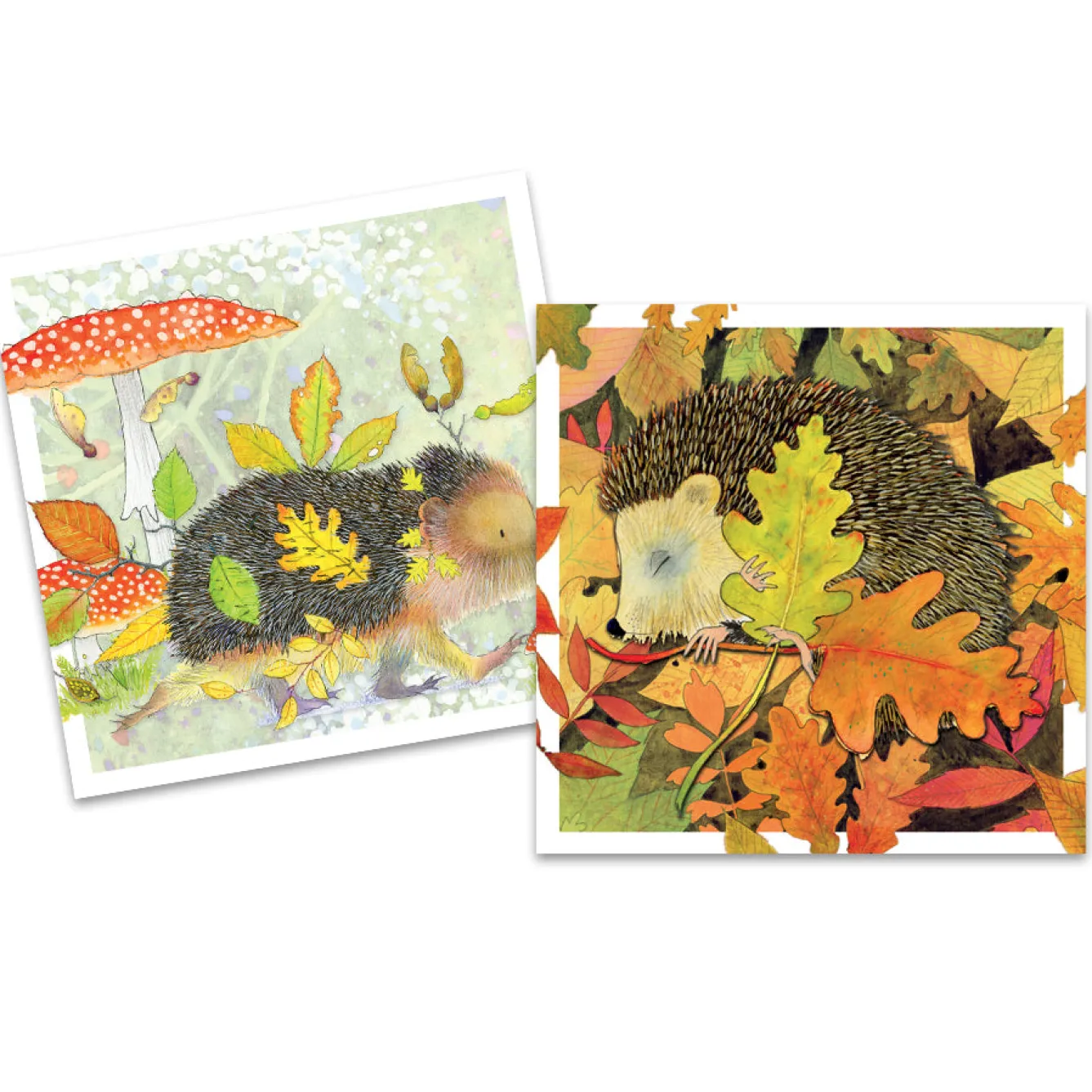 Emma Ball Wildlife Hedgehogs Pack of 10 Mini Notecards- Stationery|Greeting Cards