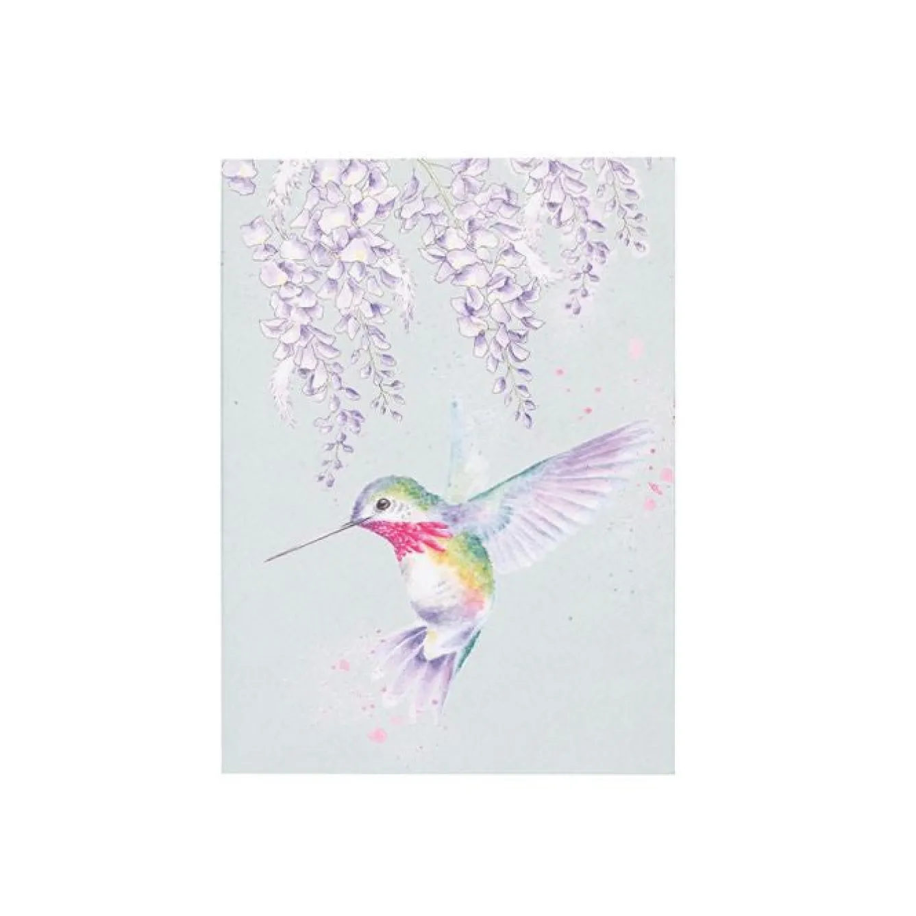 Wrendale Designs 'Wisteria Wishes' Hummingbird A6 Notebook- Stationery