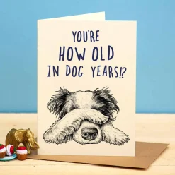 Bewilderbeest You're How Old in Dog Years Greetings Card- Greeting Cards